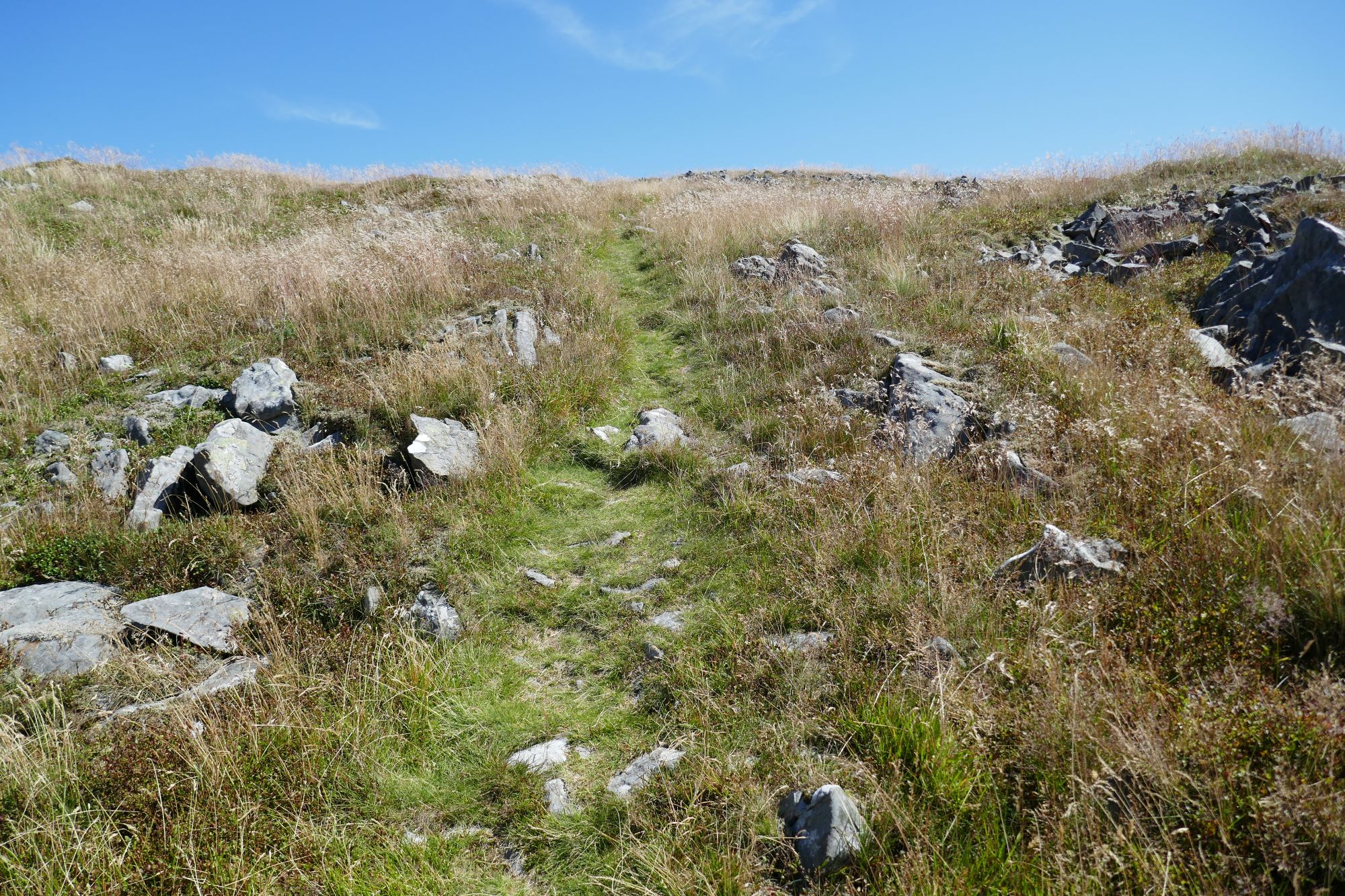 RachelSeabrook.net | Wild Walking | Cwm Gwerin | pic10